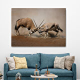 Harita Sepeti Antilob Dekoratif Kanvas Tablo-1117