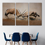 Harita Sepeti Antilob Dekoratif Kanvas Tablo-1117