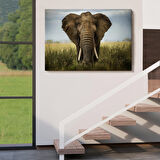 Harita Sepeti Fil Dekoratif Kanvas Tablo 1121