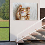 Harita Sepeti Yavru Kedi Dekoratif Kanvas Tablo 1125