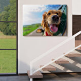 Harita Sepeti Köpek Dekoratif Kanvas Tablo 1130