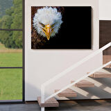 Harita Sepeti Kartal Dekoratif Kanvas Tablo 1132