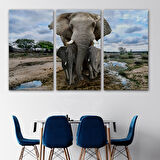 Harita Sepeti Fil ve Yavruları Dekoratif Kanvas Tablo 1134