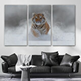 Harita Sepeti Karda Koşan Yavru Kaplan Dekoratif Kanvas Tablo 1135