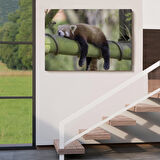 Harita Sepeti Kırmızı Panda Dekoratif Kanvas Tablo 1140