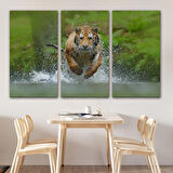 Harita Sepeti Koşan Kaplan Dekoratif Kanvas Tablo 1142