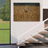 Harita Sepeti Ceylan Dekoratif Kanvas Tablo 1145