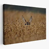 Harita Sepeti Ceylan Dekoratif Kanvas Tablo 1145