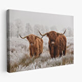 Harita Sepeti İskoçya Sığırları Dekoratif Kanvas Tablo 1150