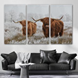 Harita Sepeti İskoçya Sığırları Dekoratif Kanvas Tablo 1150