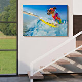 Harita Sepeti Su Kayağı Yapan Köpek Dekoratif Kanvas Tablo 1155