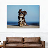 Harita Sepeti Küçük Köpek Dekoratif Kanvas Tablo 1157