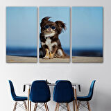 Harita Sepeti Küçük Köpek Dekoratif Kanvas Tablo 1157