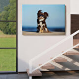 Harita Sepeti Küçük Köpek Dekoratif Kanvas Tablo 1157