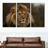 Harita Sepeti Aslan Dekoratif Kanvas Tablo 1159