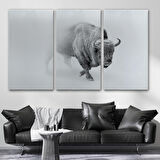 Harita Sepeti Bizon Dekoratif Kanvas Tablo 1160