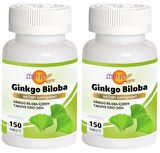 Ginkgo Biloba 240 Mg 2x150 Tablet
