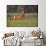 Harita Sepeti Koşan Geyik Dekoratif Kanvas Tablo 1170