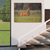 Harita Sepeti Koşan Geyik Dekoratif Kanvas Tablo 1170