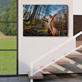 Harita Sepeti Sincap Dekoratif Kanvas Tablo 1178