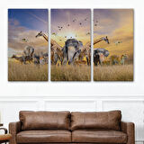 Harita Sepeti Hayvanlar Alemi Dekoratif Kanvas Tablo 1180