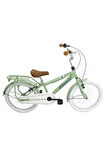 Ümit 20 Jant Stitch M-ATB-V Çocuk Bisikleti Olive Green