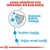 Royal Canin Mini Puppy Pouch Yavru Köpek Konservesi 6 Adet X 85 Gr 