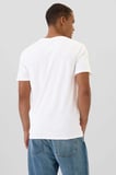 Gap V-Frch Everyday Soft Erkek Tişört