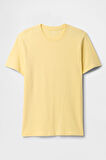 Gap V-Everyday Soft Erkek Tişört