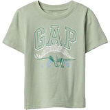 GAP Erkek Çocuk Logolu Yeşil Tişört 703642008