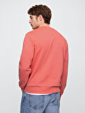 GAP V-LW DB Fleece Erkek Sweatshirt