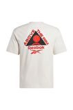 Reebok ATR HOOPWEAR TEE Bej Erkek Tshirt