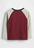 Gap Baskılı Kırmızı Erkek Çocuk T-Shirt 822094003