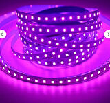 120 Ledli Mor Işık Şerit Led 5 Metre 60 Watt Mor 12 Volt