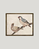 Daldaki Kuşlar Çerçeveli Poster