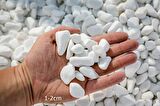 Beyaz Dolomit Taşı 13 Kg 1-2 Cm Dolomit Taş Akvaryum Dekorasyonu Dere Çakılı Mezar Taşı Bahçe Süs Taşı Mezar Süsleme Taşı