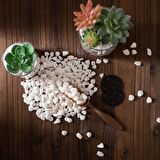 Beyaz Dolomit Taşı 13 Kg 1-2 Cm Dolomit Taş Akvaryum Dekorasyonu Dere Çakılı Mezar Taşı Bahçe Süs Taşı Mezar Süsleme Taşı