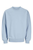 Erkek Bisiklet Yaka Düz Renk Sweatshirt 12257853