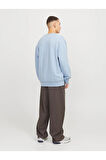 Erkek Bisiklet Yaka Düz Renk Sweatshirt 12257853