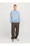 Erkek Bisiklet Yaka Düz Renk Sweatshirt 12257853