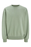 Erkek Bisiklet Yaka Düz Renk Sweatshirt 12257853