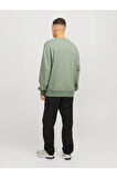 Erkek Bisiklet Yaka Düz Renk Sweatshirt 12257853