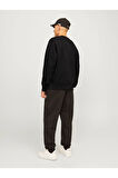 Erkek Bisiklet Yaka Düz Renk Sweatshirt - 12259945