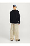 JCOMAZER KNIT CREW NECK Siyah Örme Kazak 12266511