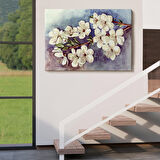 Harita Sepeti Beyaz Erik Çiçekleri Duvar Tablosu-1234