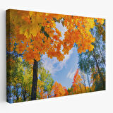 Harita Sepeti Sarı Yapraklı Sonbahar Manzarası Duvar Tablosu-1236