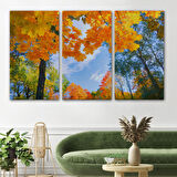 Harita Sepeti Sarı Yapraklı Sonbahar Manzarası Duvar Tablosu-1236