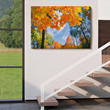 Harita Sepeti Sarı Yapraklı Sonbahar Manzarası Duvar Tablosu-1236