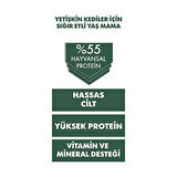 Pro Performance Ultra Premium Biftekli Yetişkin Kedi Konservesi 12 Adet 400 Gr 