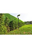 Çimçit 120 Cm X 10 M